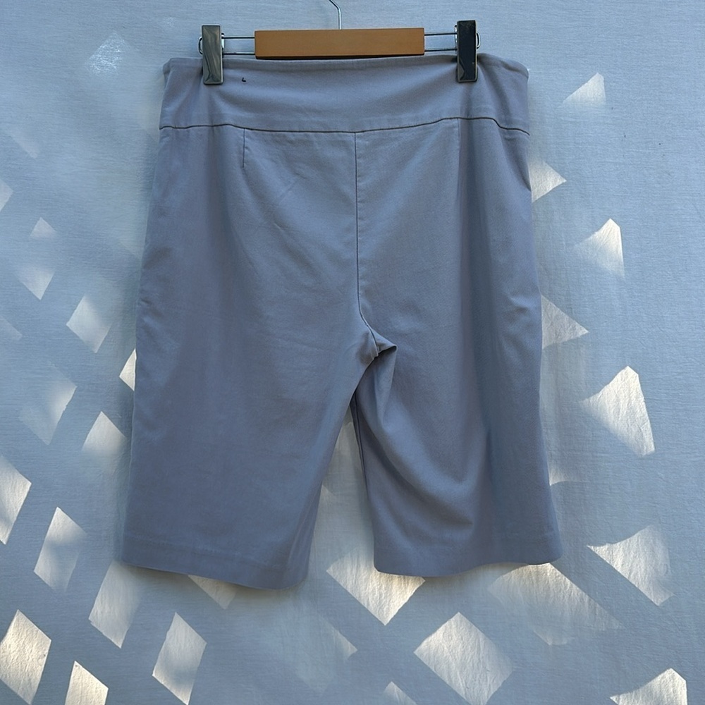 George Stretchy Shorts - Picture 4 of 5